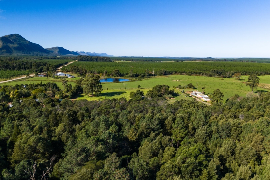 5 Bedroom Property for Sale in Tsitsikamma Eastern Cape
